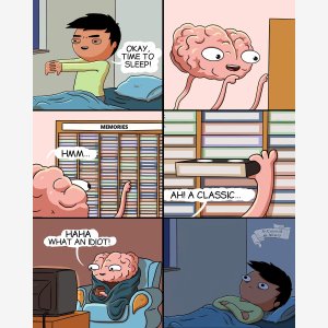 Okay Time To Sleep   Dormir Cerveau Brain